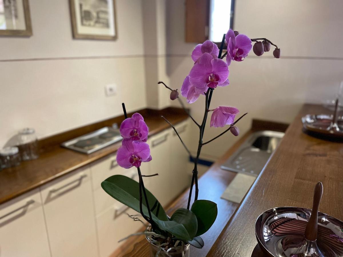 Altesino Suites Montalcino Luaran gambar